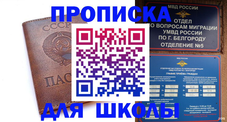 прописка для кредита в Ермолино